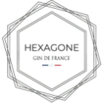 Logo-Hexagone-Bleu (1)